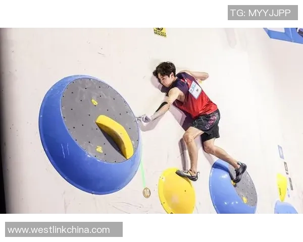 北京攀岩队在全国攀岩个人能力排行榜中荣获第十名的佳绩分析